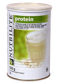 Nutrilite Protein Powder 500g 